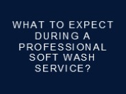 What to Expect During a Professional Soft Wash Service?