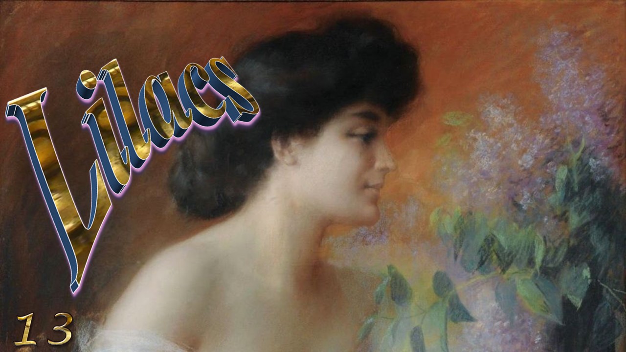 Flowering lilacs for celebrate spring13