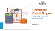 Company Credit Report​: Unlocking Financial Opportunities