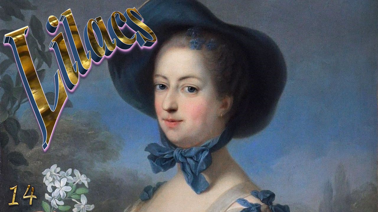 Flowering lilacs for celebrate spring14