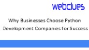 Why Businesses Choose Python Development Companies for Success