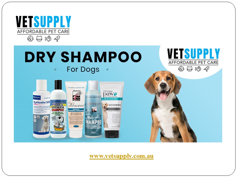 Dog Shampoo and Washes Online | VetSupply