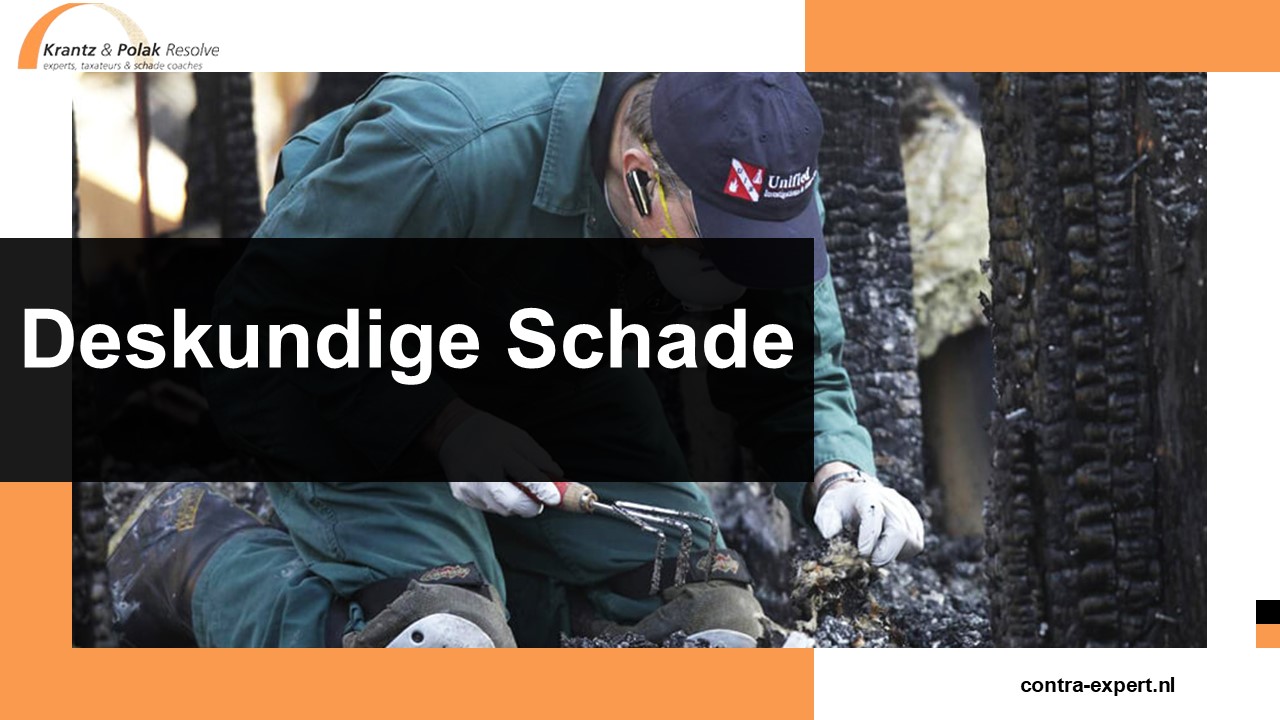 Deskundige Schade