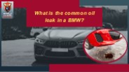 What is the common oil leak in a BMW