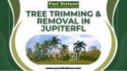 Tree Trimming Removal Jupiter FL