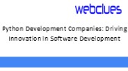 Python Development Companies: Driving Innovation in Software Development