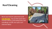 Roof Cleaning