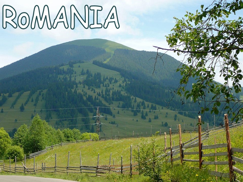 Acasa7 (Depresiunea Dornelor )