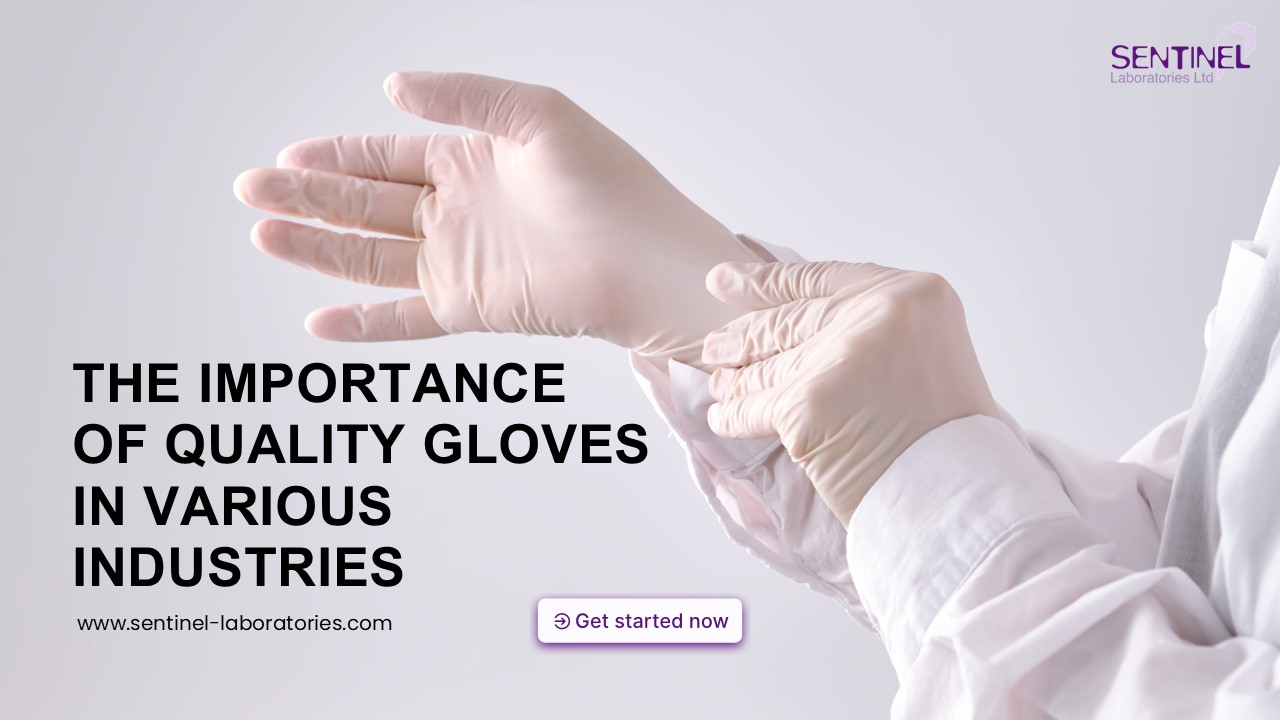 Why Quality Gloves Matter in Every Sector?