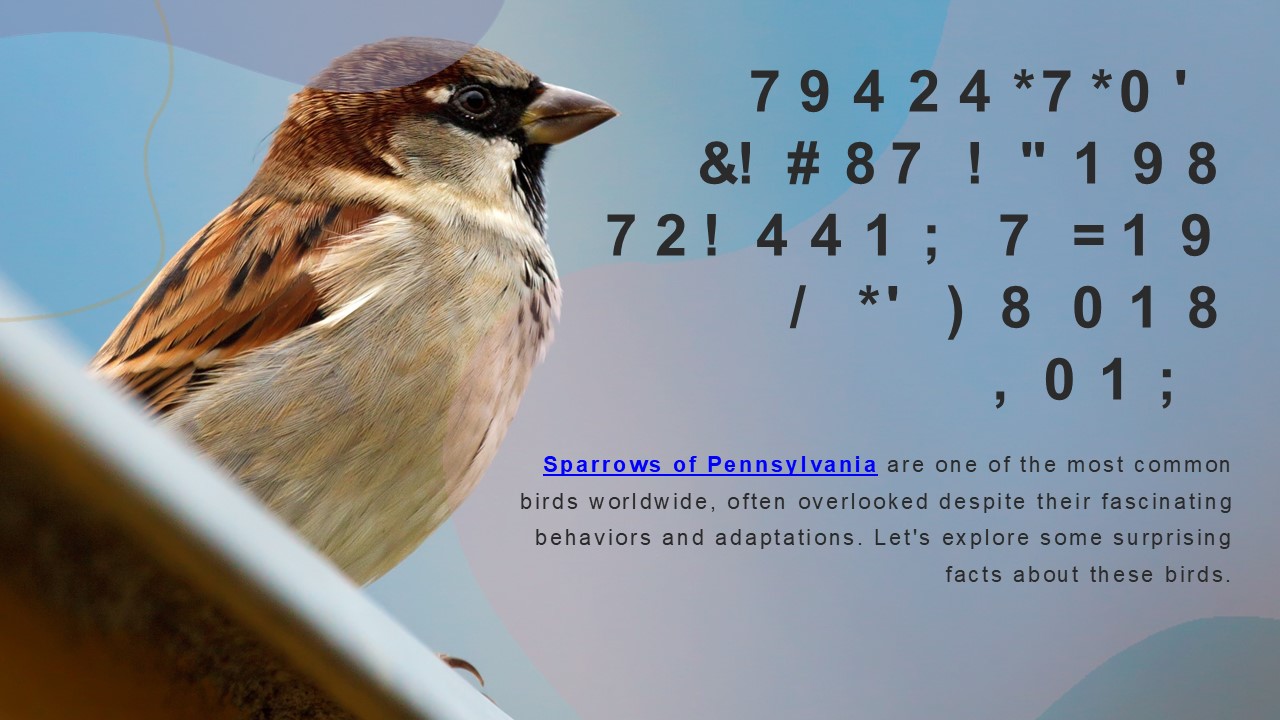 Surprising Facts About Sparrows You Might Not Know