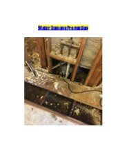 Water Damage Prevention