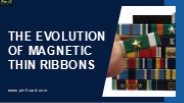 The Evolution of Magnetic Thin Ribbons