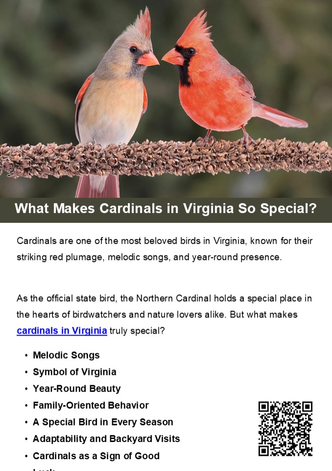 What Makes Cardinals in Virginia So Special?