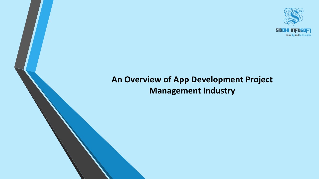 An Overview of App Development Project Industry