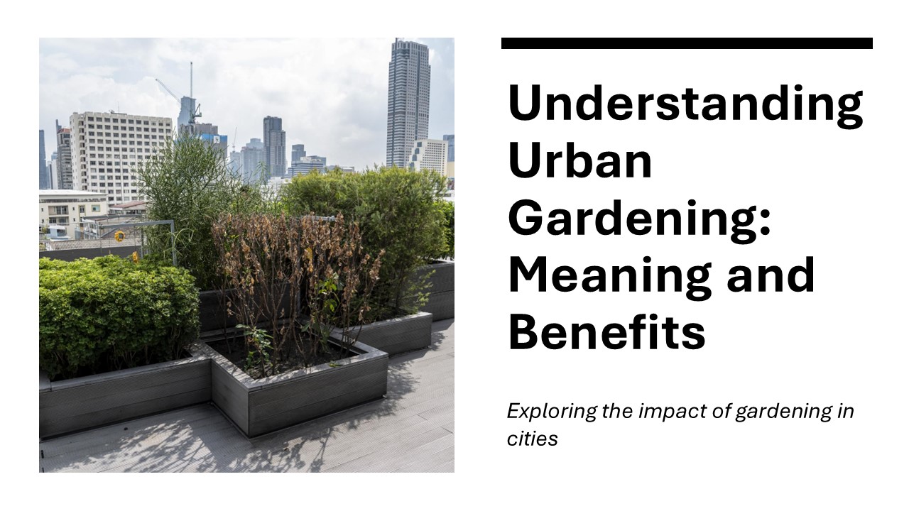 Understanding Urban Gardening: Meaning and Benefits
