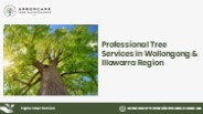 Reliable 24/7 Tree Services | Arborcare Tree Maintenance