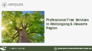 24/7 Expert Tree Services | Arborcare Tree Maintenance