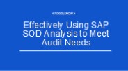 Effectively Using SAP SOD Analysis to Meet Audit Needs