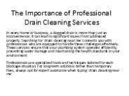Professional Drain Cleaning Services: Your Local Solution