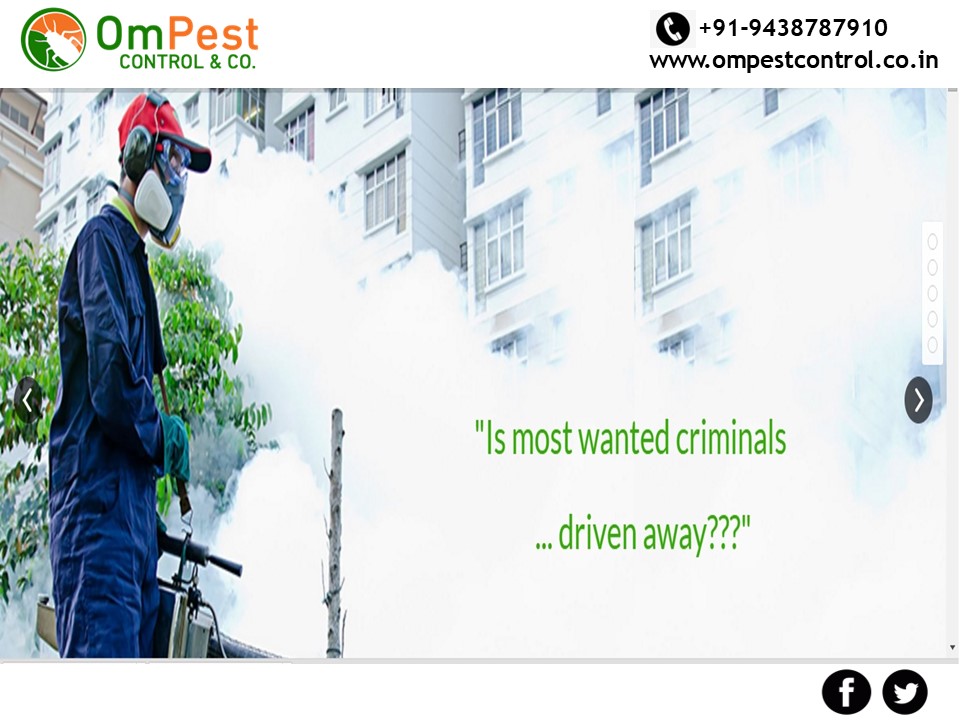 You need Pest Control Services in Odisha