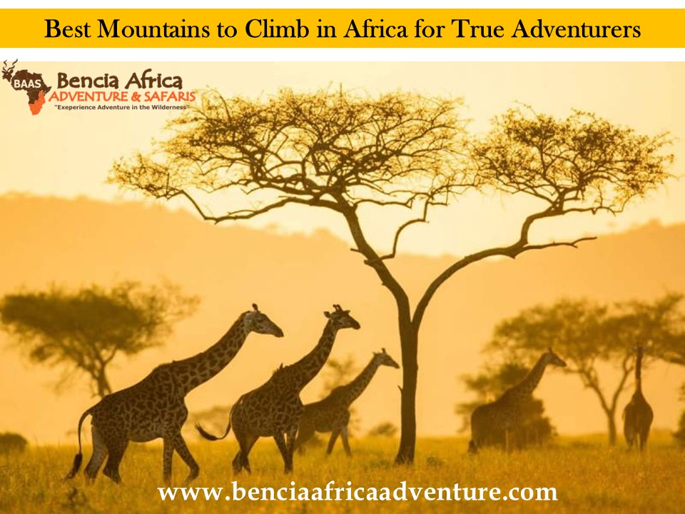 Best Mountains to Climb in Africa for True Adventurers