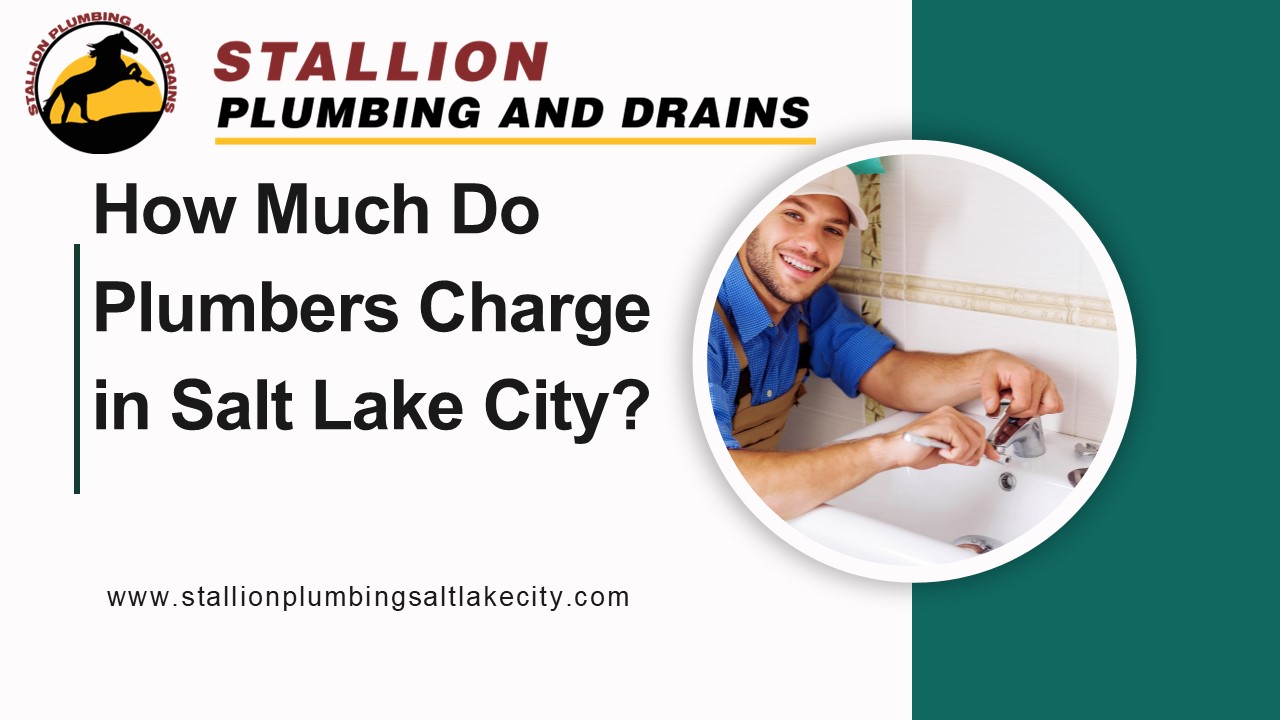 How Much Do Plumbers Charge in Salt Lake City?