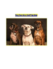 Dog Exercise And Playtime