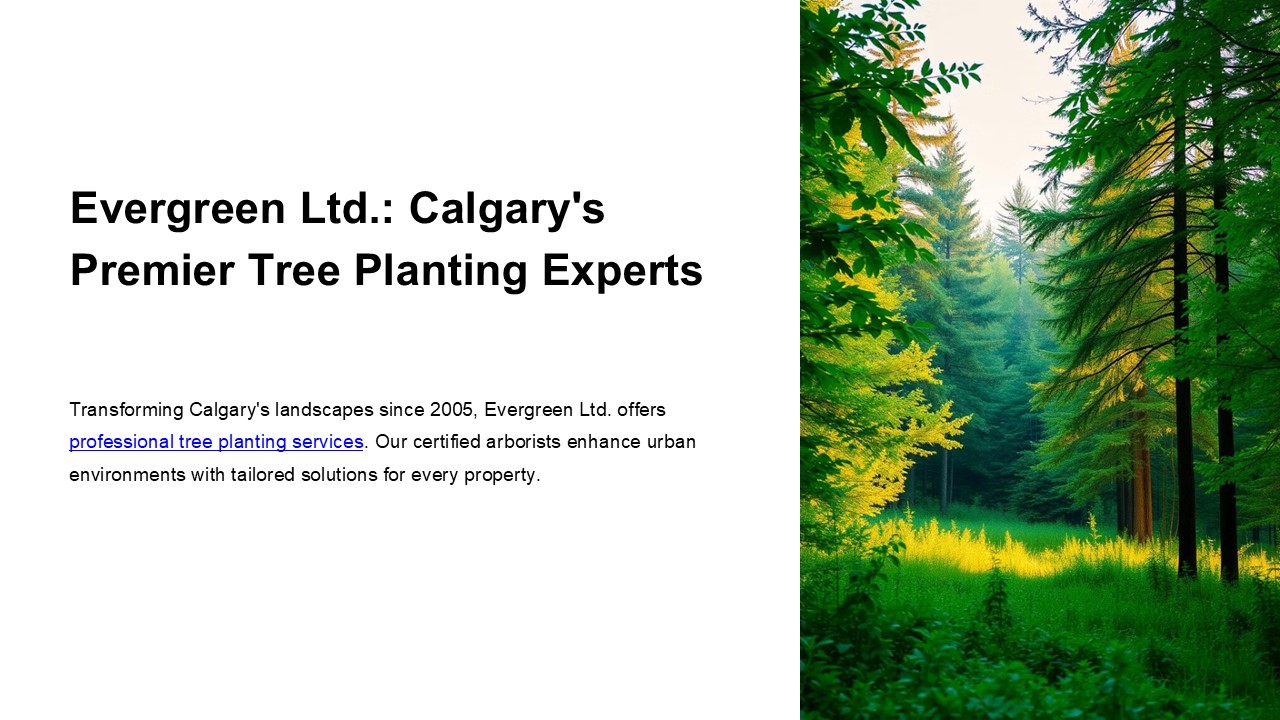 Calgary Tree Planting Services – Evergreen Ltd