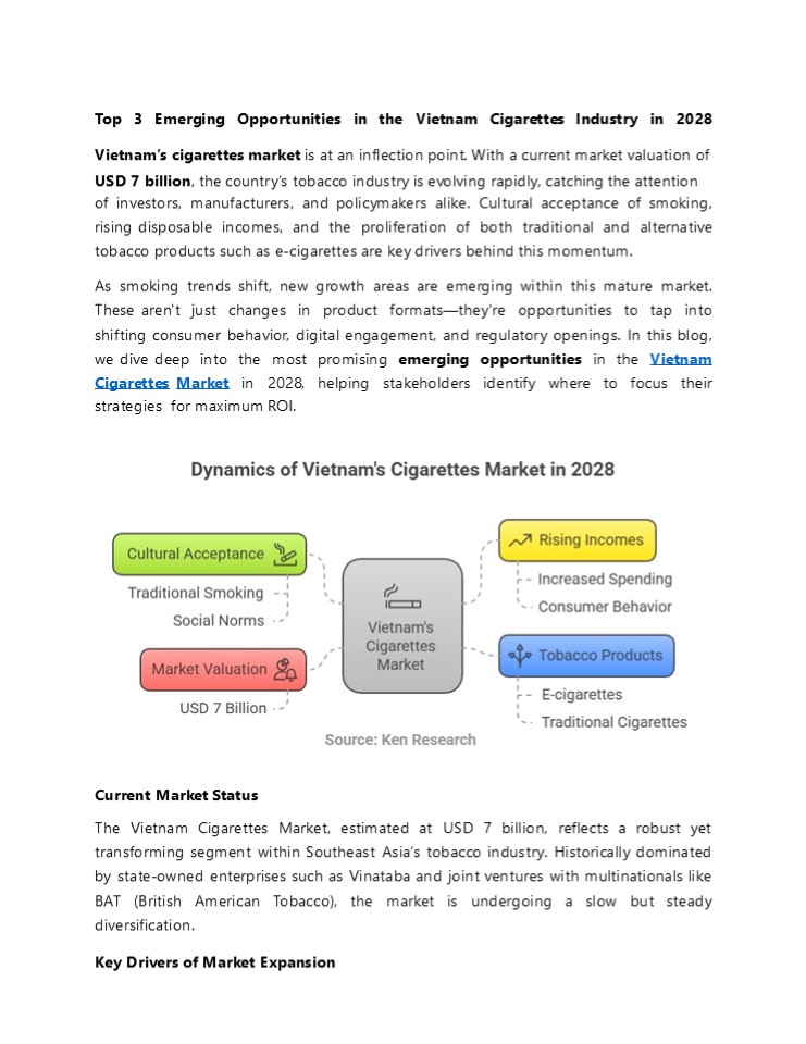 Vietnam Cigarettes Market Trends and Growth Insights 2028