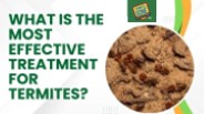 What is the most effective treatment for termites?