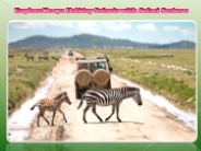 Explore Kenya Holiday Safaris with Safari Seekers
