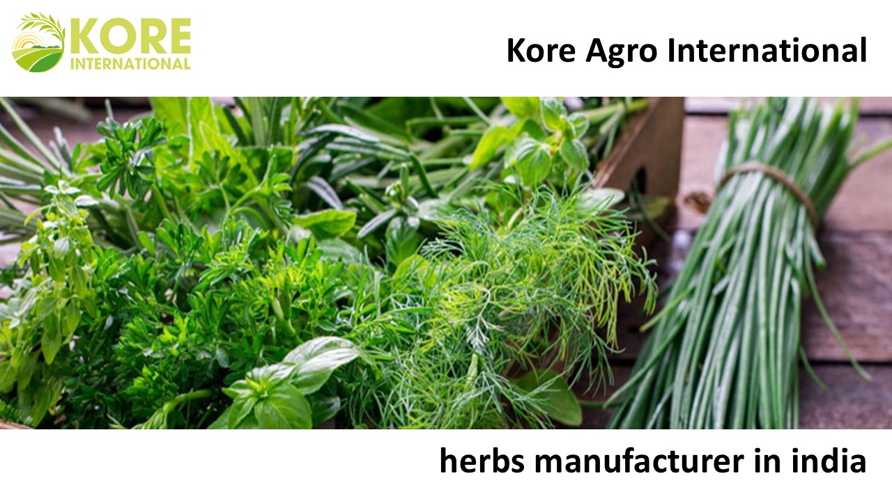 herbs manufacturer in india