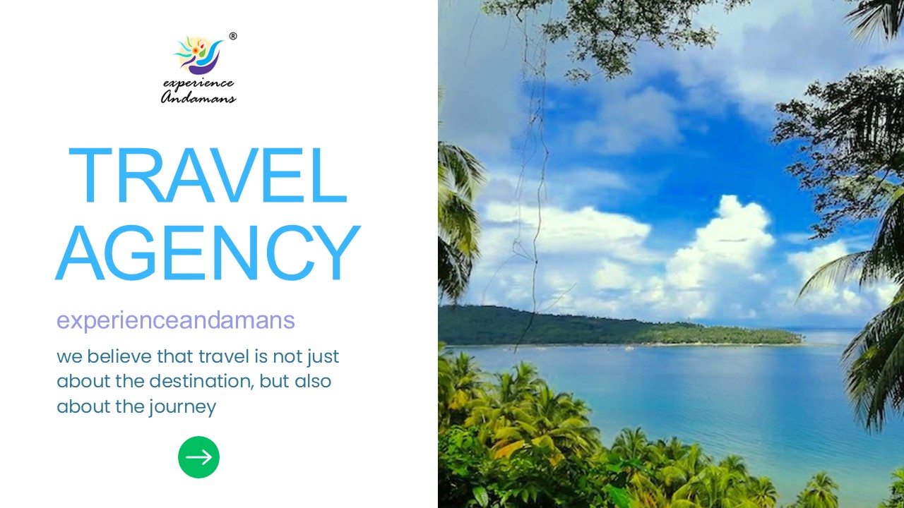 Scuba diving in Andaman