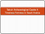Tabuk Archaeological Castle A Timeless Fortress in Saudi Arabia