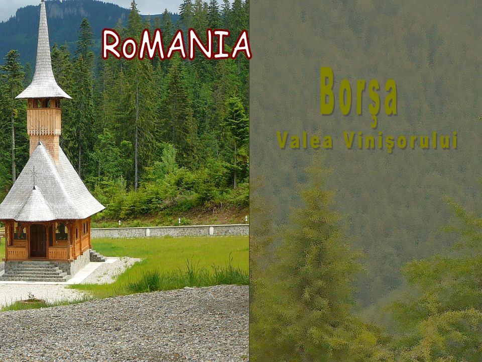 Romania Valea Vinisorului, Borsa