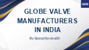 Globe Valve Manufacturers in India (1)