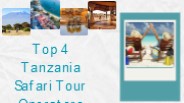Top 4 Tanzania Safari Tour Operators