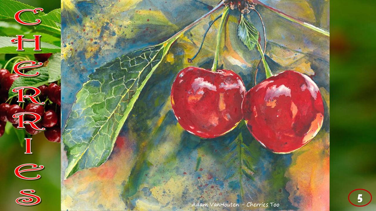 Cherries 5 Collection of colorful paintings