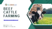Beef Cattle Farming