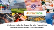 How Are Indian Pharmaceutical Companies Meeting Global Challenges?