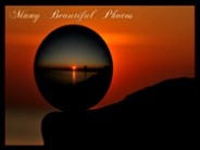 Many Beautiful Photos (Renny)