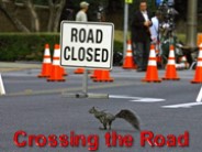 Crossing the Road (Olga E.)