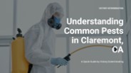 Understanding Common Pests in Claremont, CA
