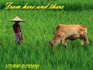 Odsud a tam - From here and there (Renny)