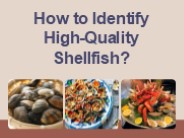 How to Identify High-Quality Shellfish?