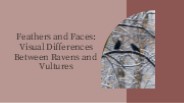Feathers and Faces: Visual Differences Between Ravens and Vultures