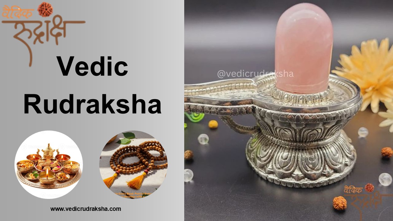 Discover Authentic Vedic Rudraksha Beads for Spiritual Growth