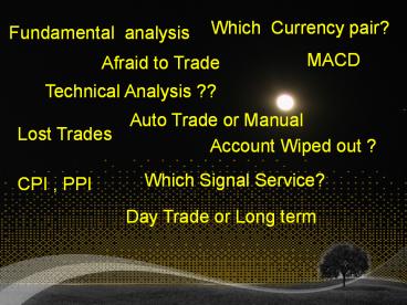 Forex We Can Trading Signal services
