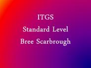 ITGS SL Presentation