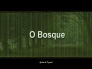 O Bosque
